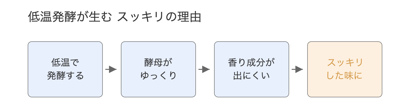 低温で発酵、酵母がゆっくり働く、香り成分が出にくい、スッキリした味に、という4段階の流れ図